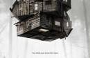 cabin_in_the_woods