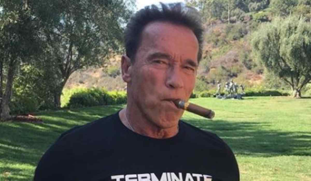 Arnold Schwarzenegger aggredito con un calcio alle spalle a Johannesburg