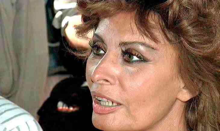 sophia loren