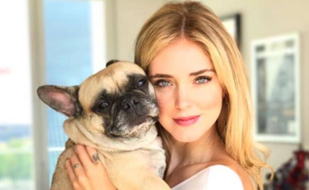 Chiara Ferragni cagnolina