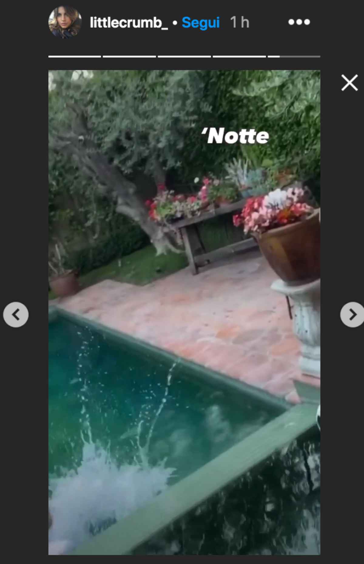 Elisabetta Canalis