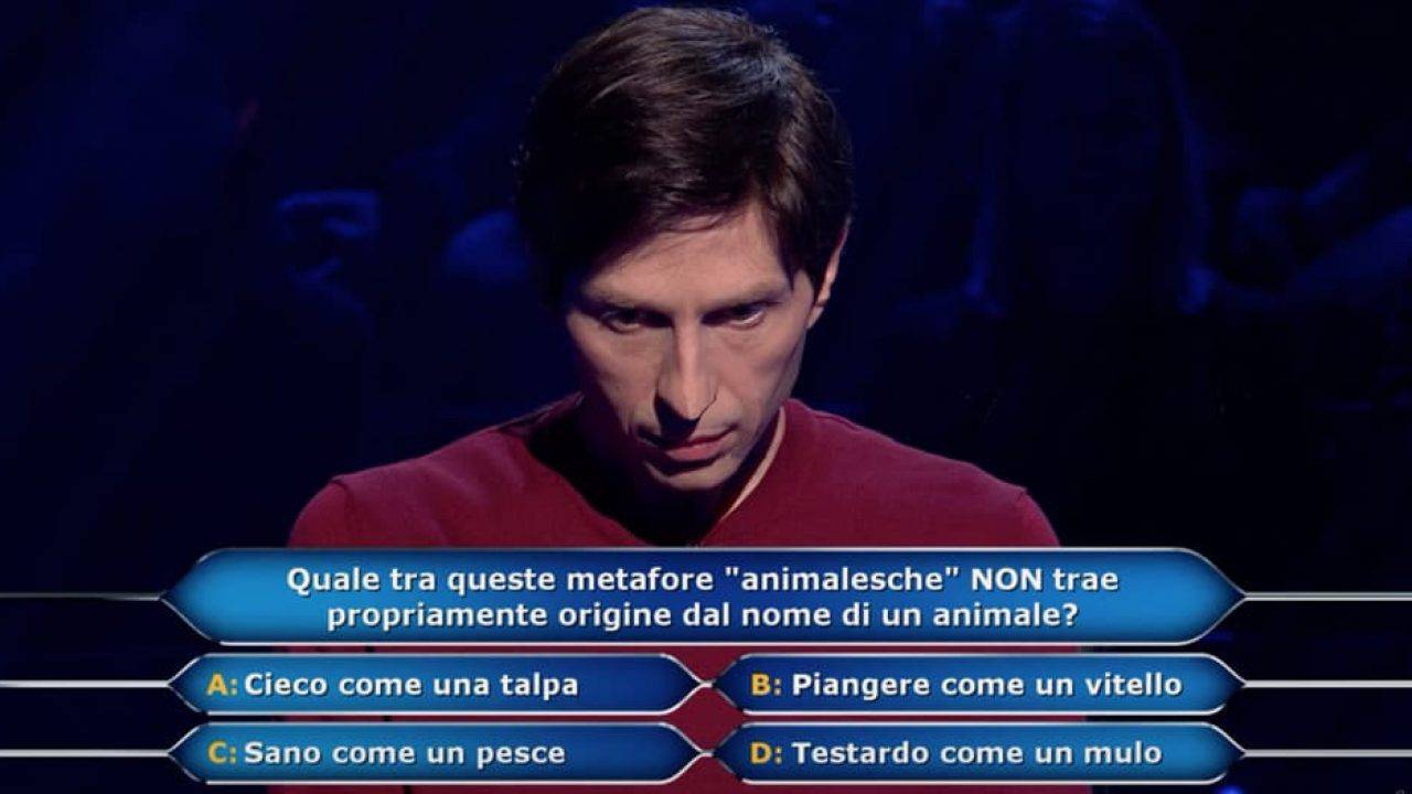 concorrente chi vuol essere milionario