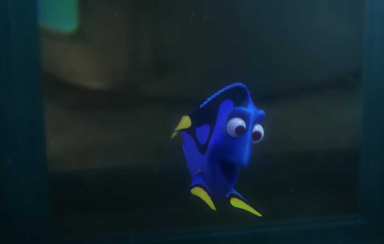 Alla ricerca di Dory