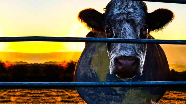 Cowspiracy (Netflix) 