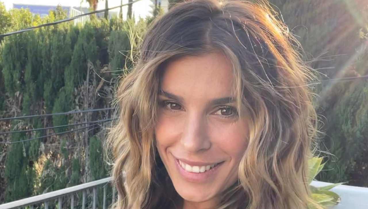 elisabetta canalis marito