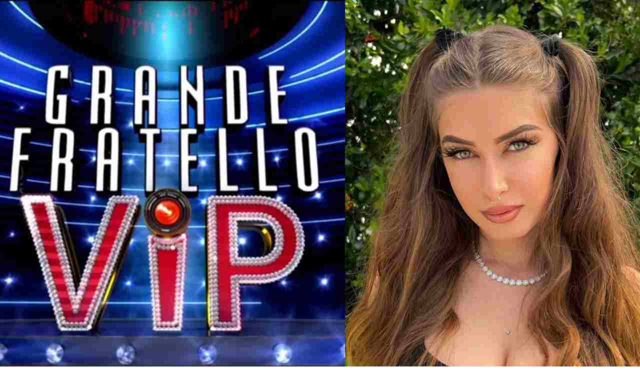 gf vip 7