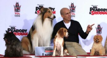 Lassie, non solo al cinema ma anche a tv: gli altri cani più famosi dello spettacolo